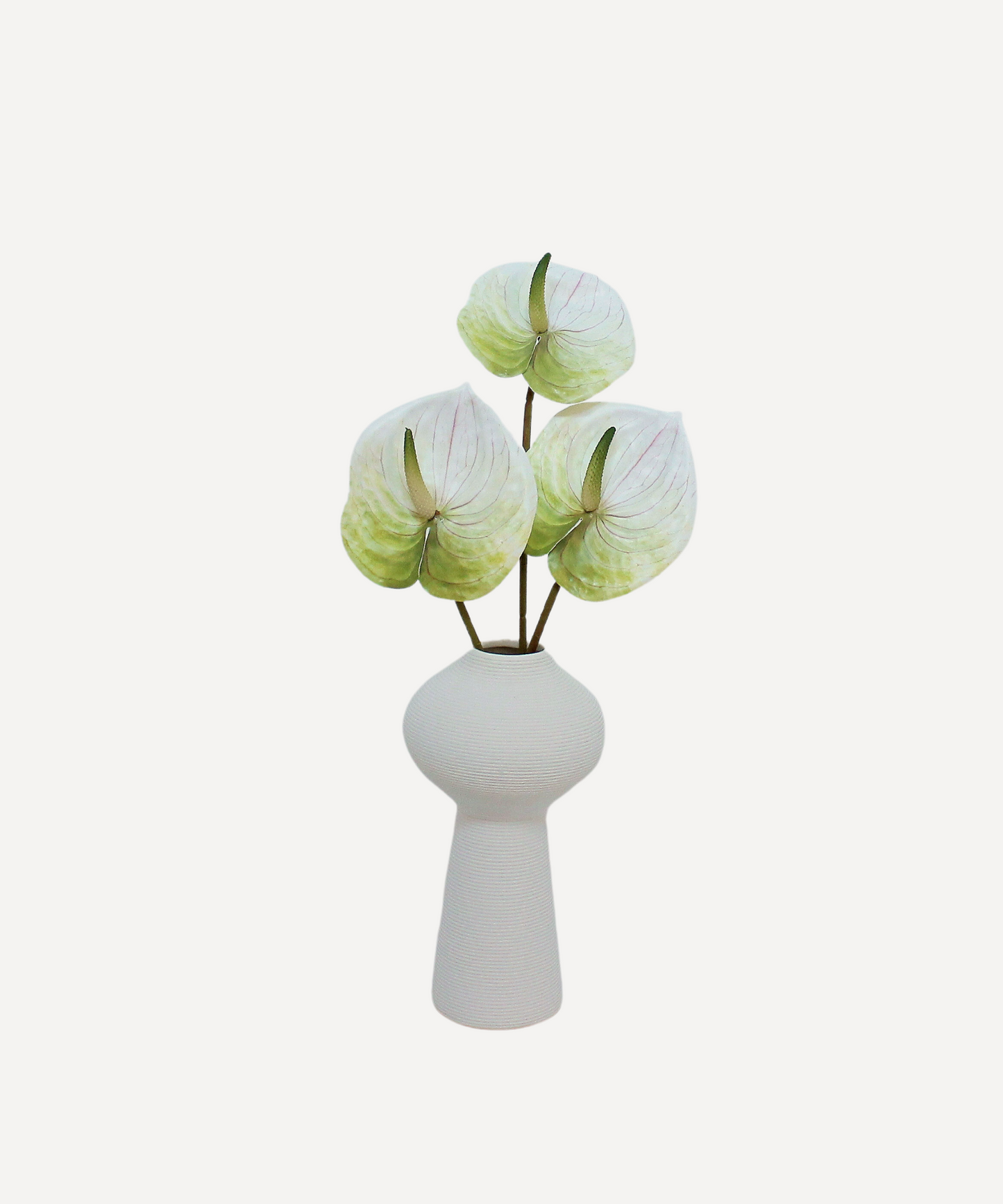 Anthurium