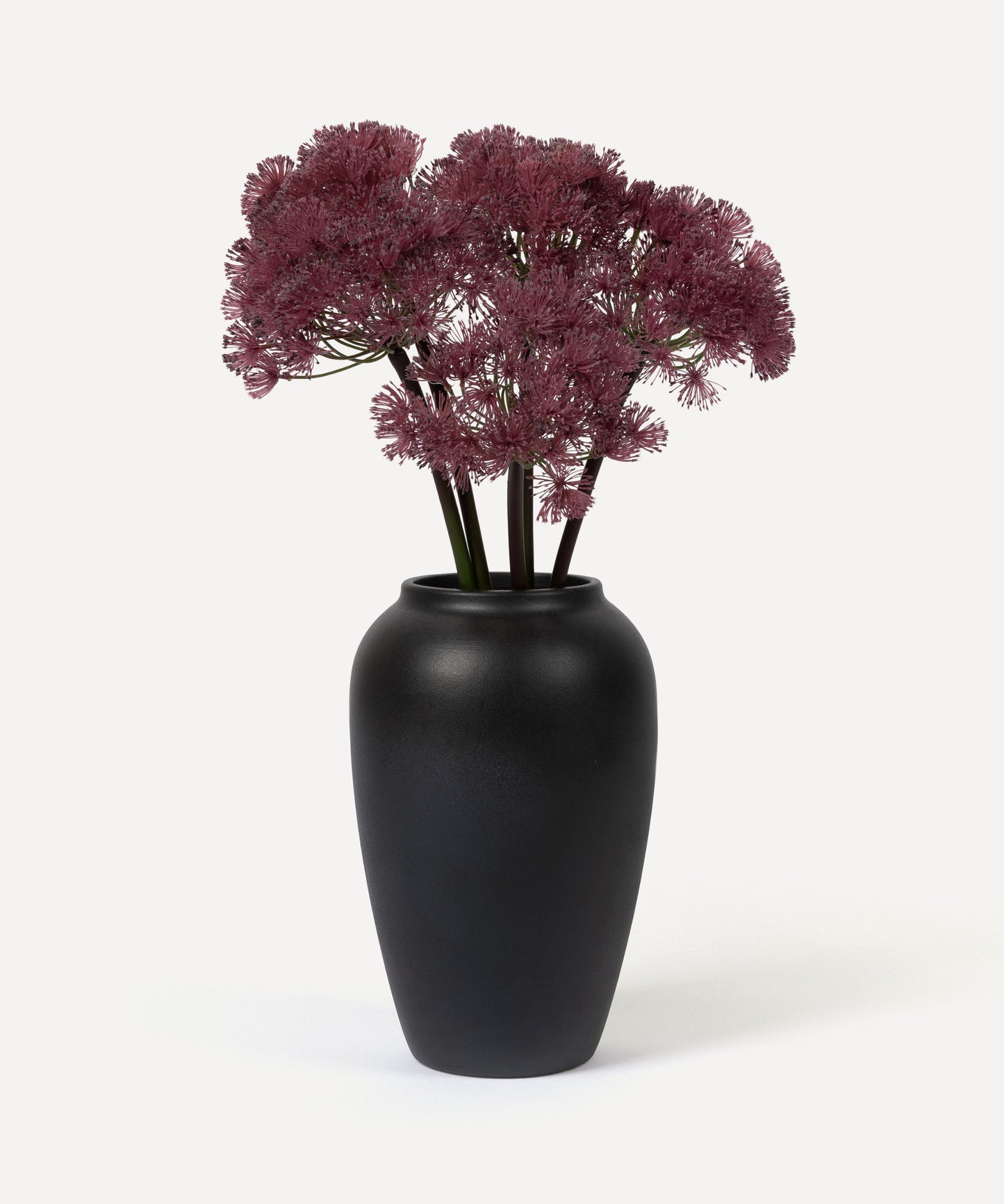 Allium