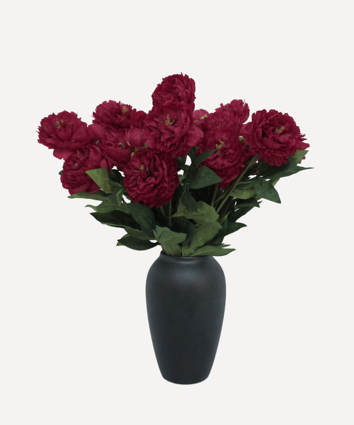 Chinese Peony