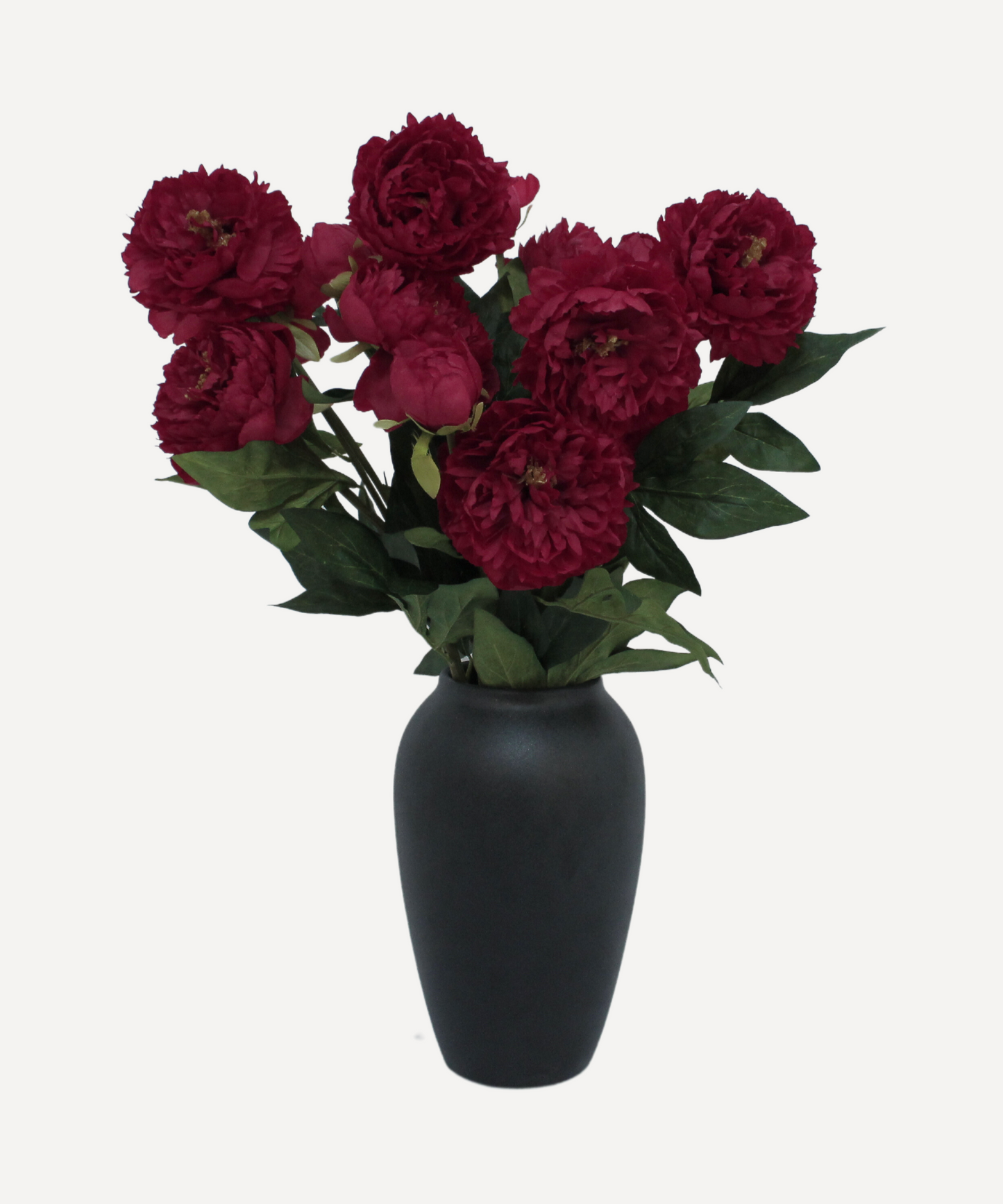 Chinese Peony