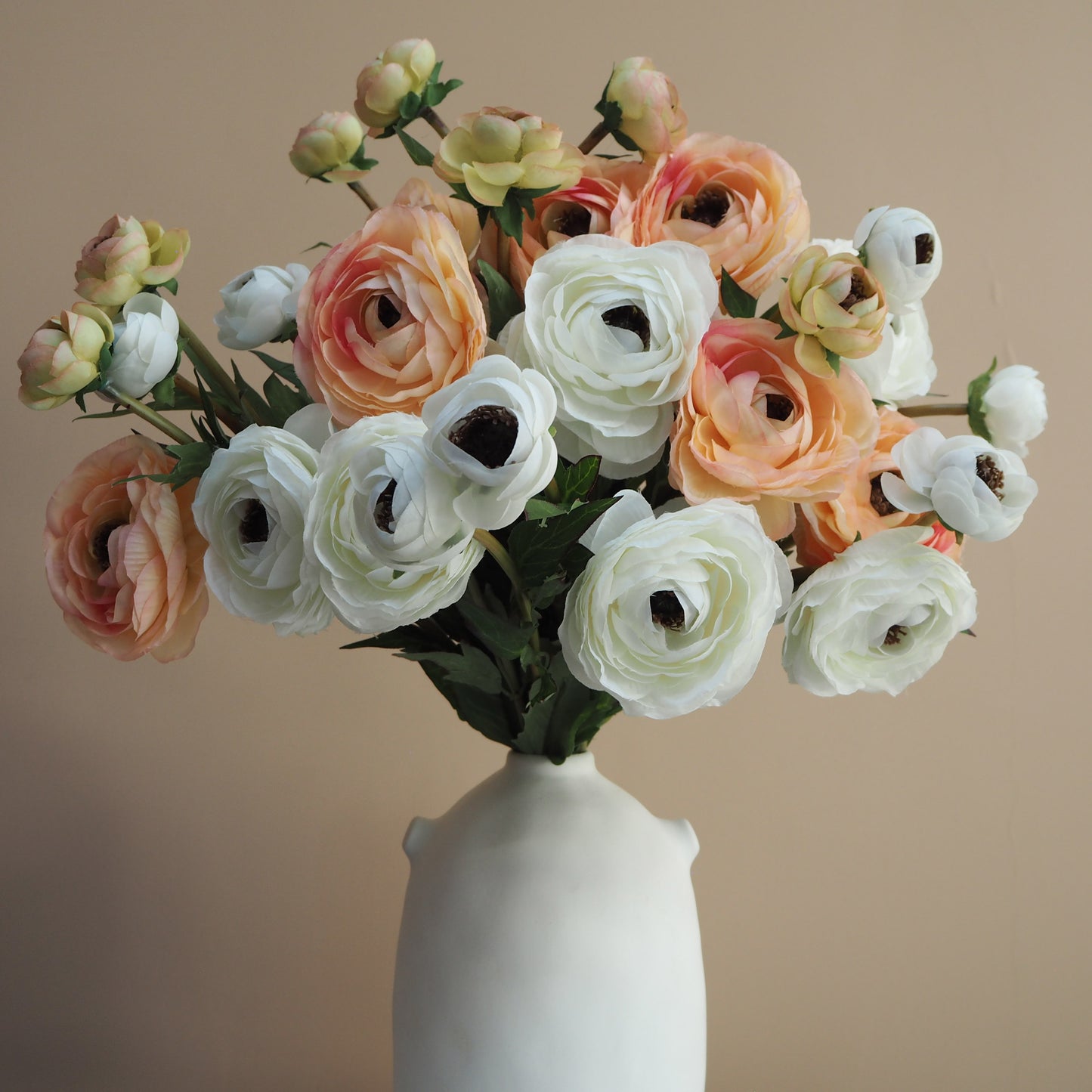 Ranunculus XL Maxi Bunch - White & Peach Pink