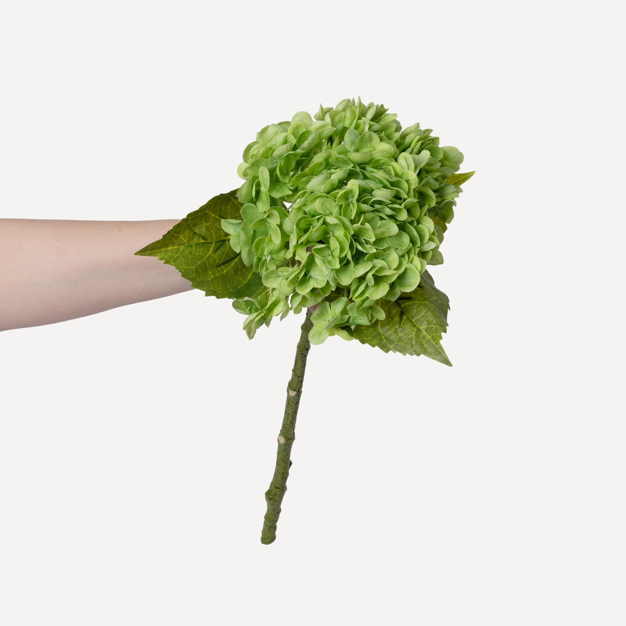 Hydrangeas - Faux Flower Stems - White, Light Green, Lavender, Blue, Green