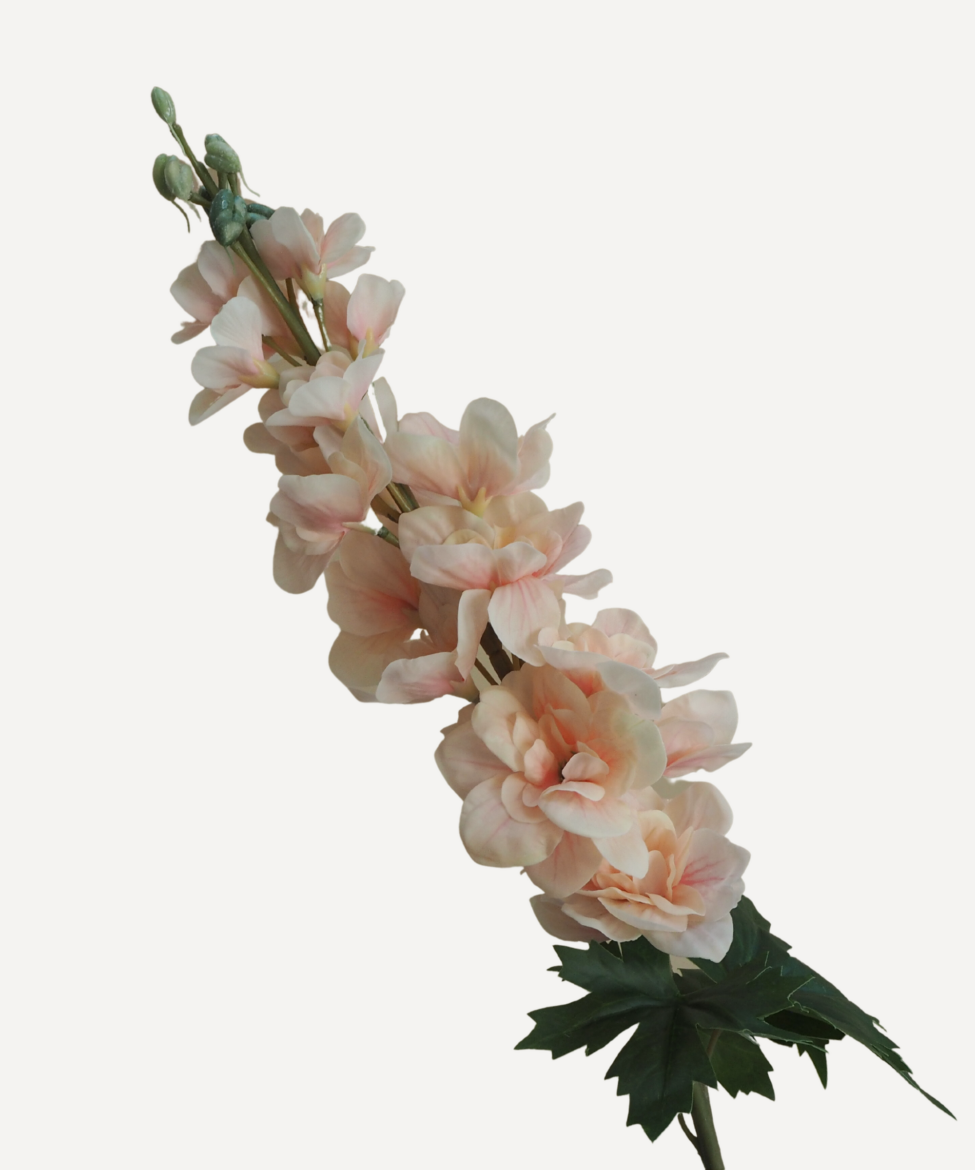 Aida - Faux Flower Stems - White, Blush