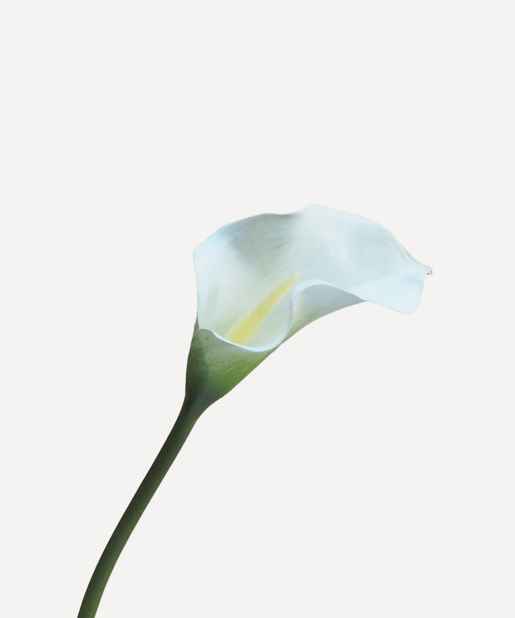 Calla Lilies - Faux Flower Stems - Dark Purple, White & Pink