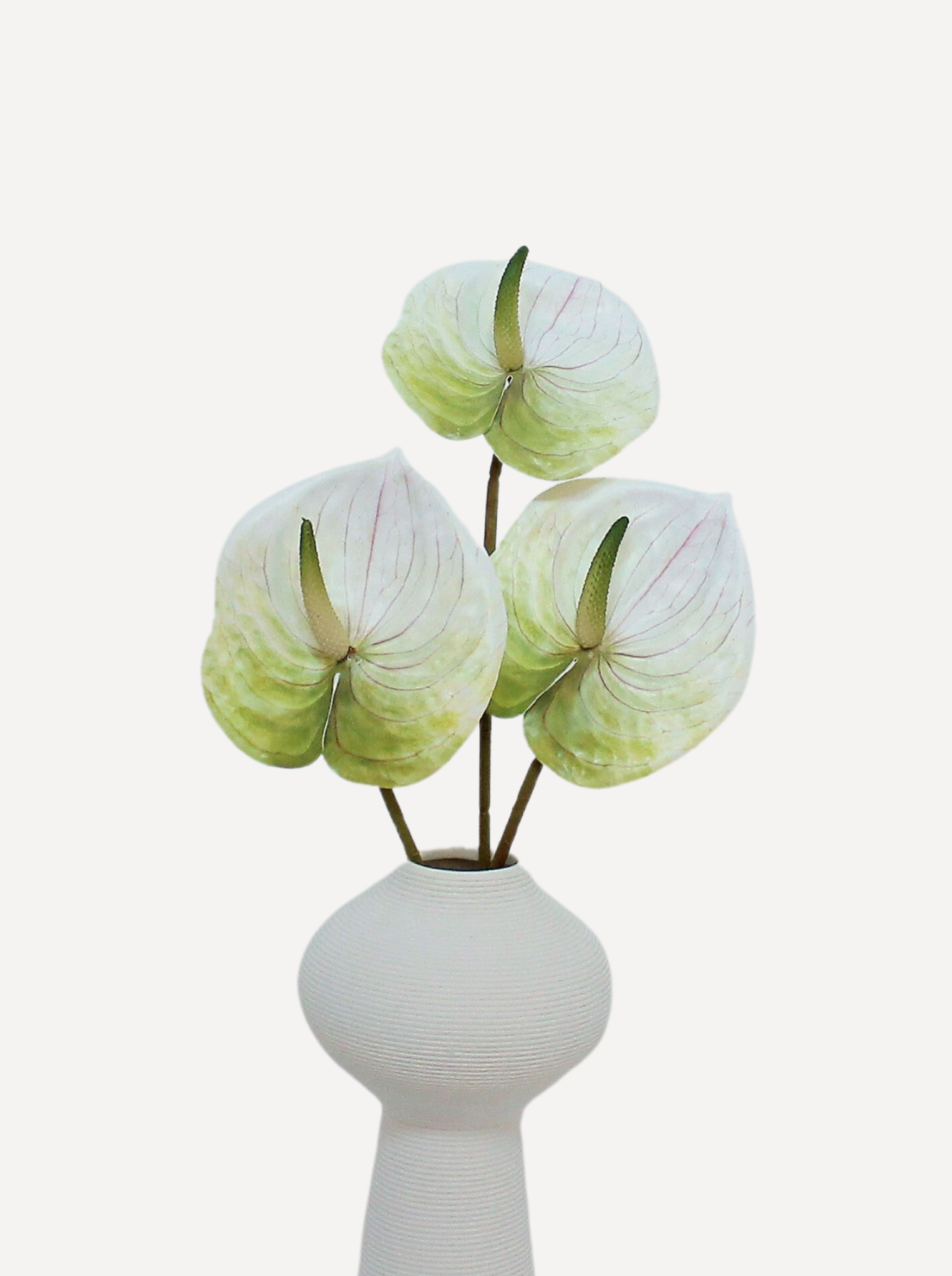 Anthuriums - Faux Flower Stems - Red, Merlot, Green White