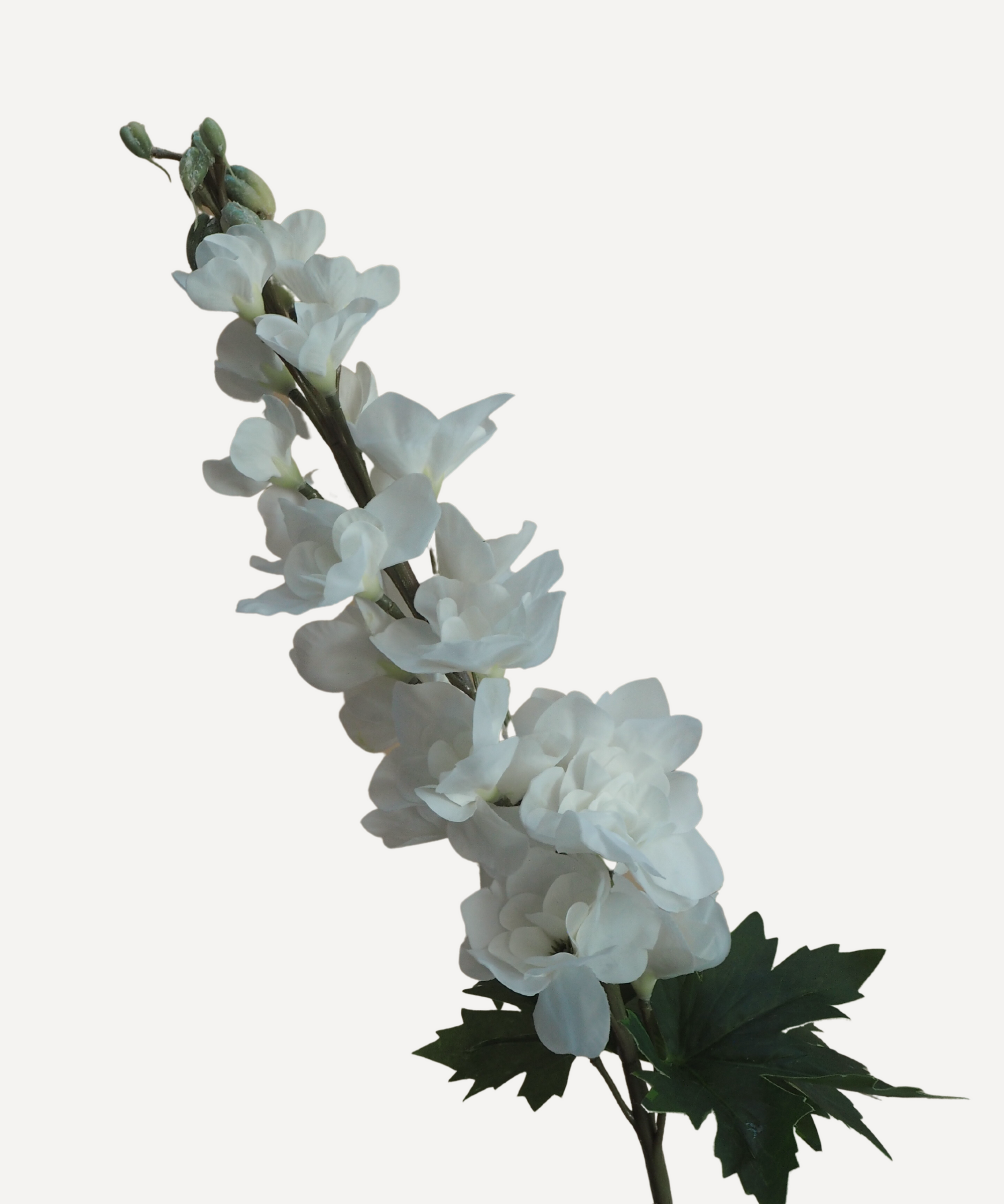 Aida - Faux Flower Stems - White, Blush