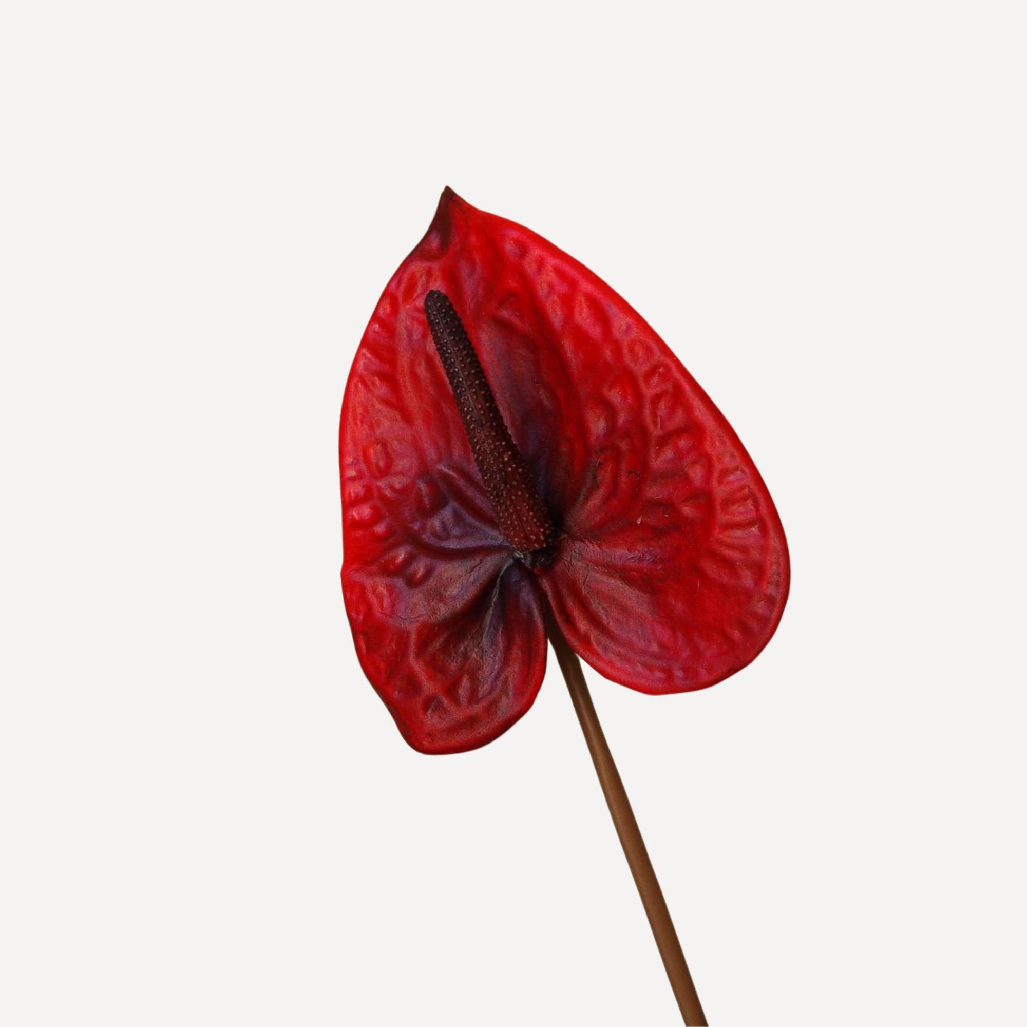 Anthuriums - Faux Flower Stems - Red, Merlot, Green White
