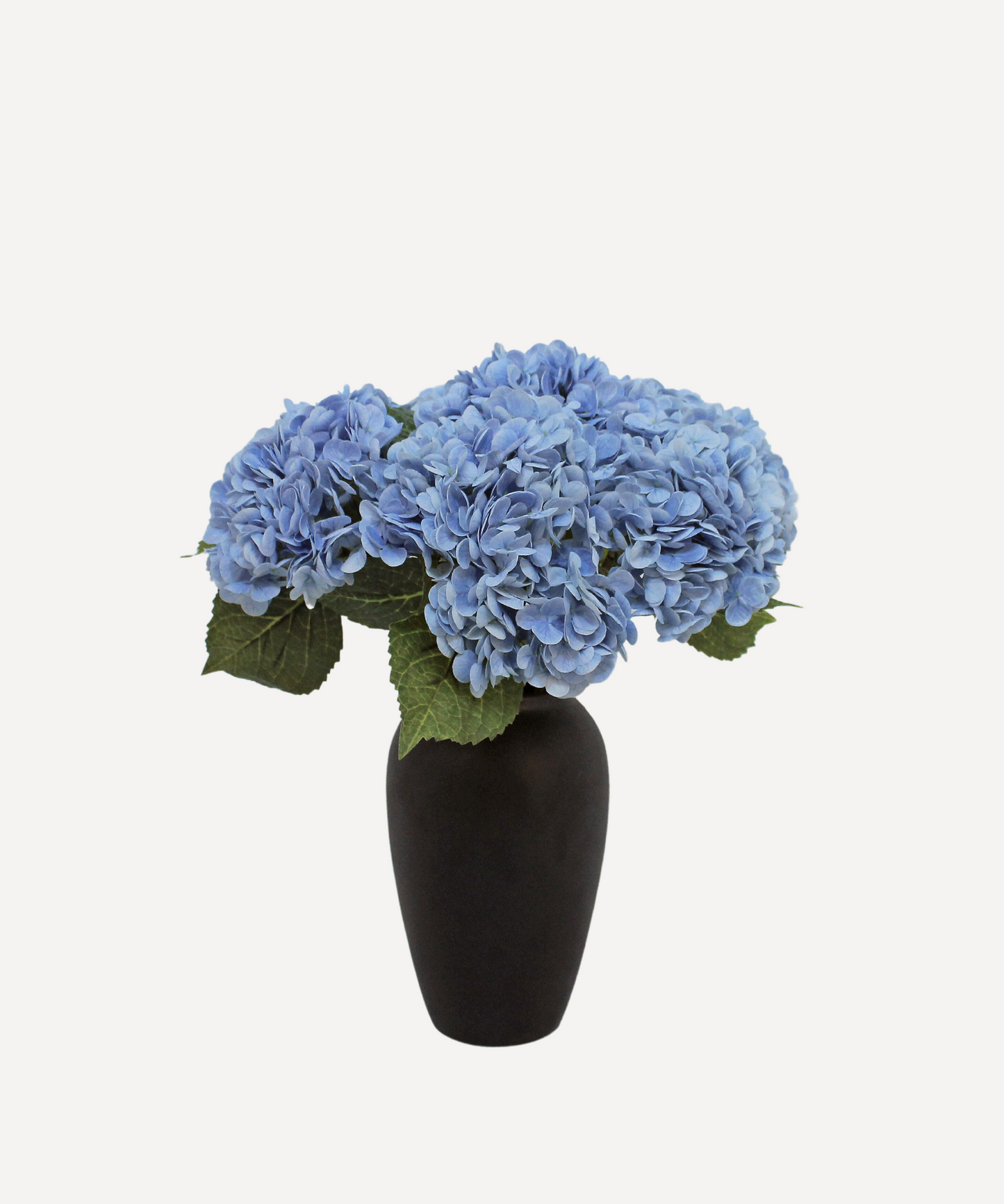 Hydrangea - White, Light Green, Lavender, Blue, Green