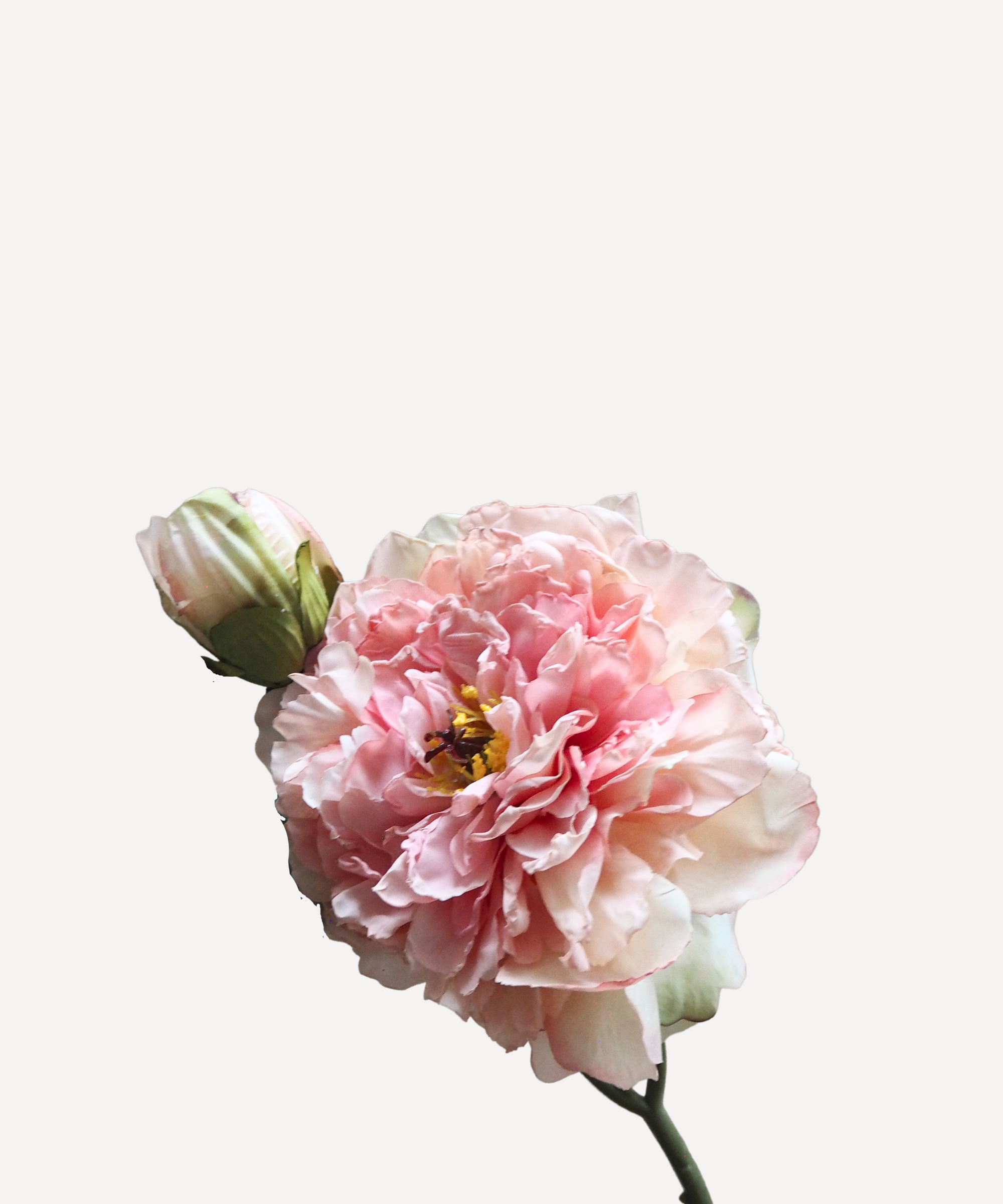 Blooming Peony - Faux Flower Stems - Blush Pink, White, Lavender, Coral, Merlot