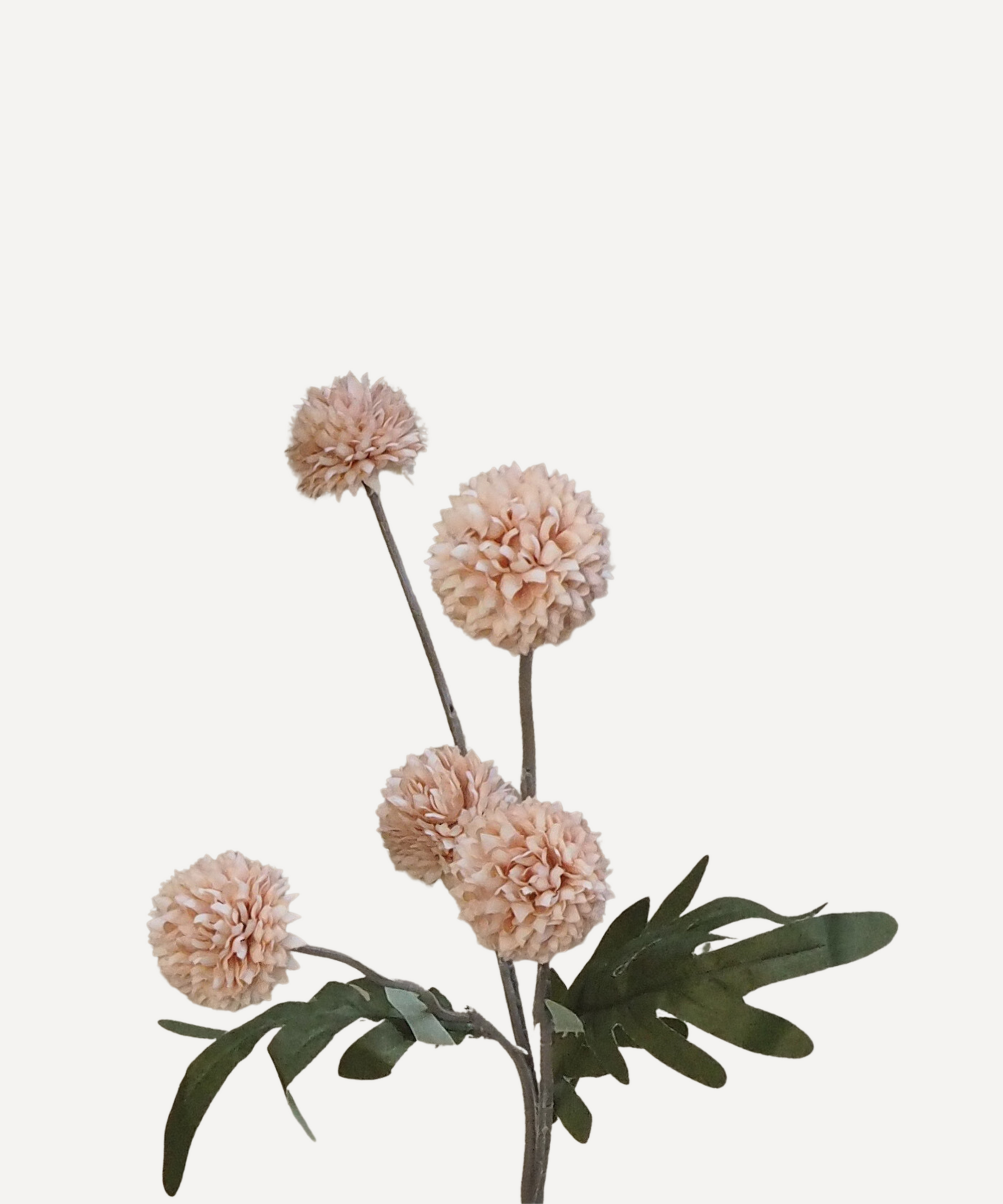 Globe Chrysanthemums - Faux Flower Stems - White, Blush, Rouge
