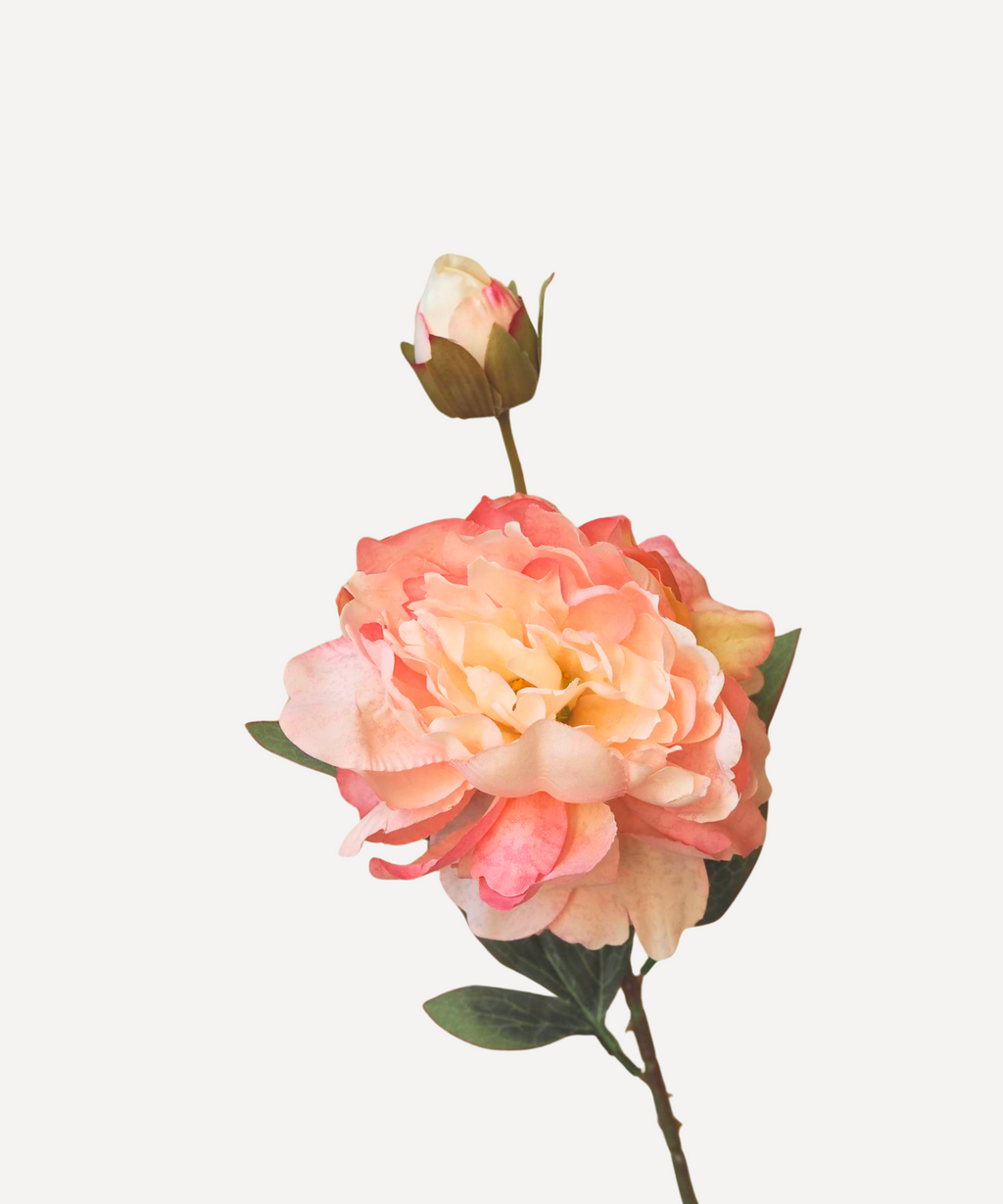 Peony - Faux Flower Stems