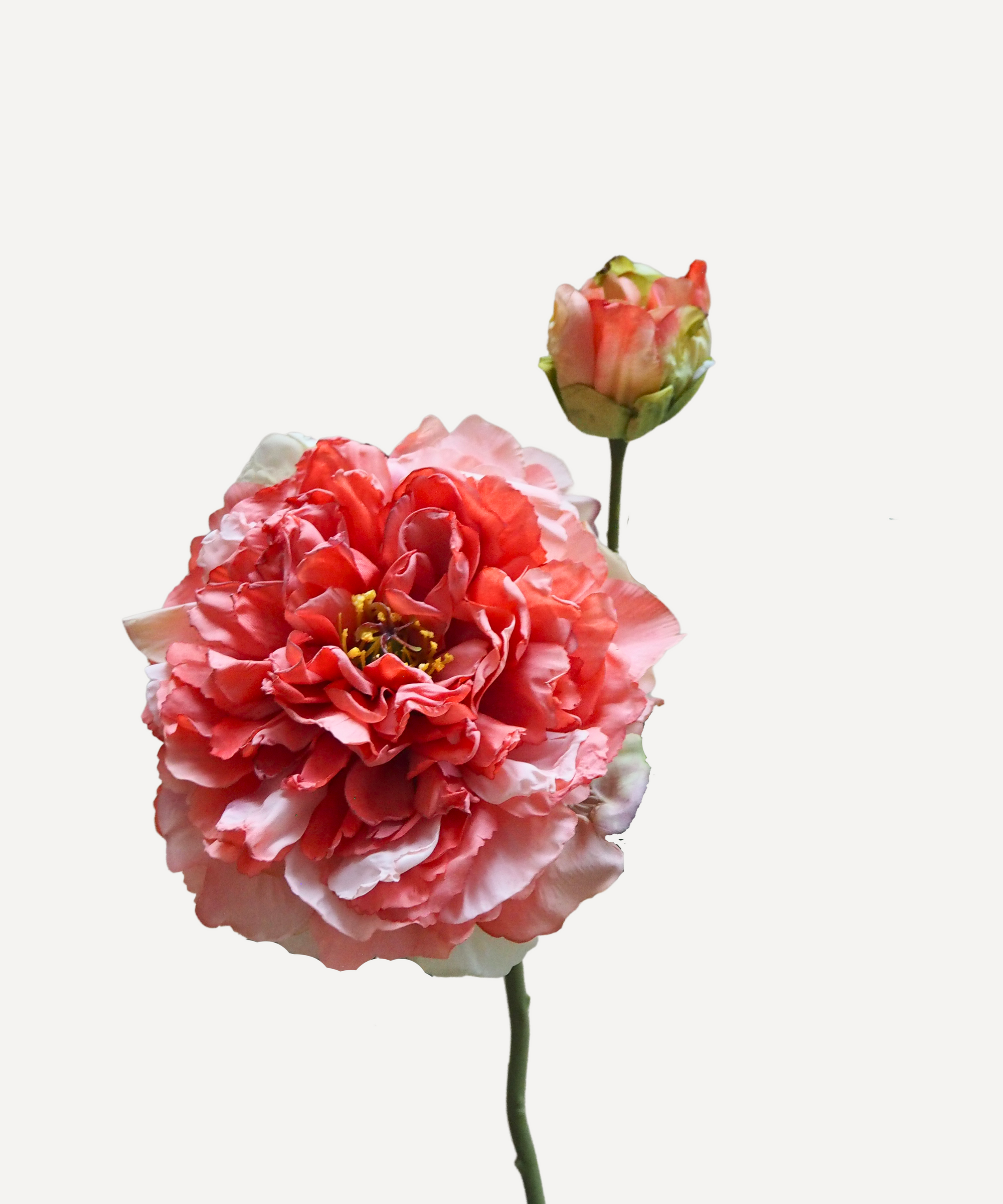 Blooming Peony - Faux Flower Stems - Blush Pink, White, Lavender, Coral, Merlot