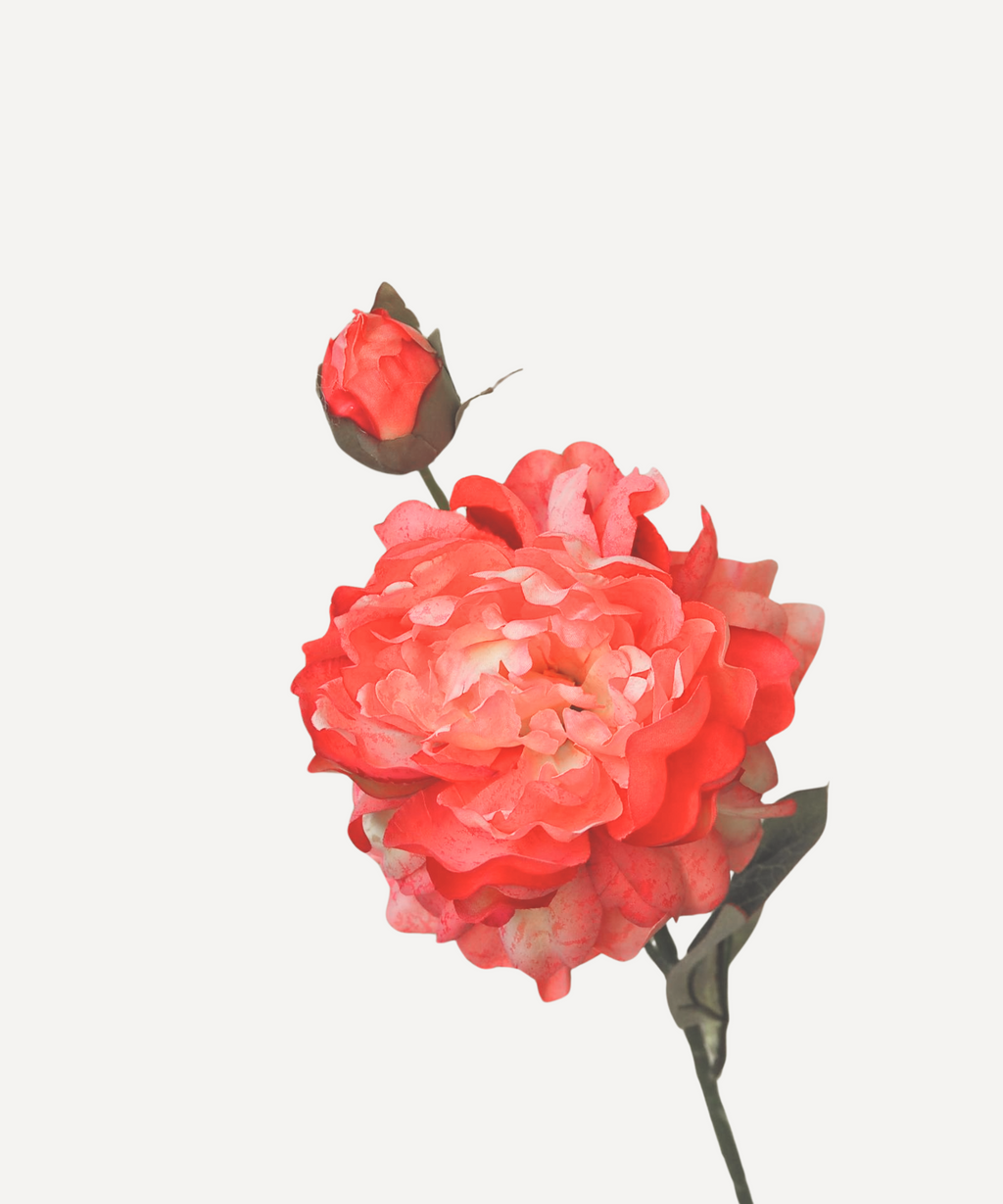 Peony - Faux Flower Stems