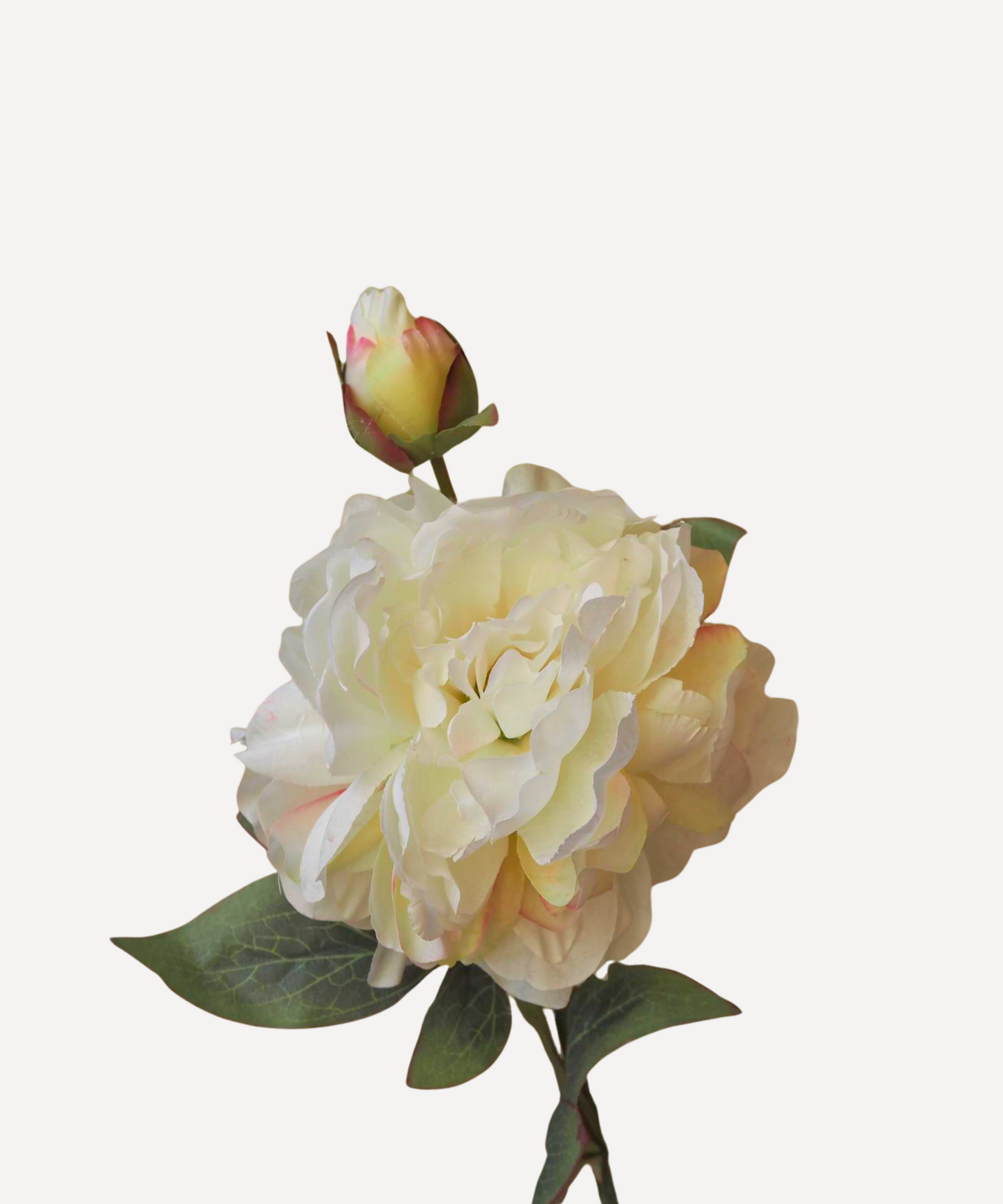 Peony - Faux Flower Stems