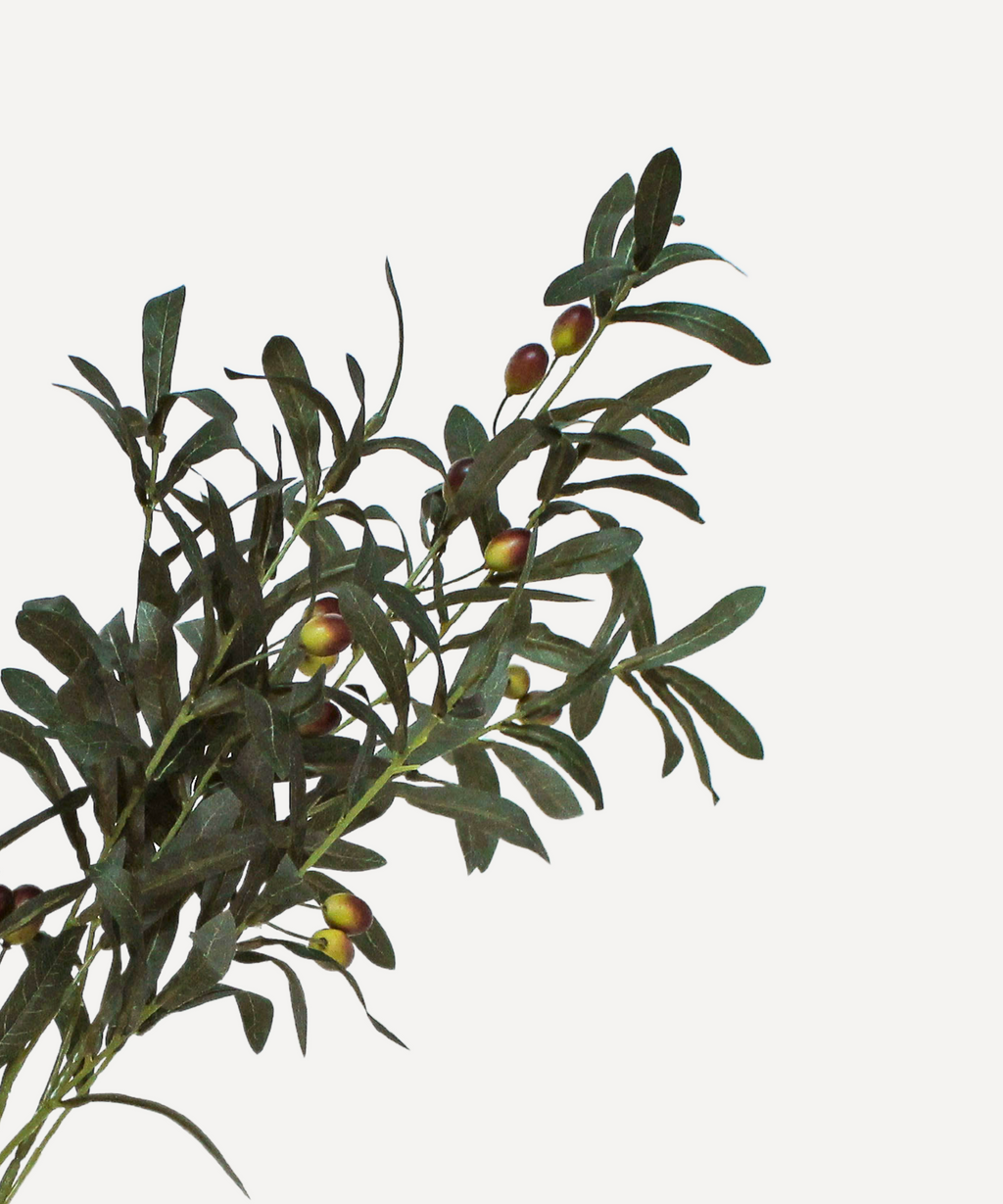 Olive Branches - Faux Foliage Stems - Tea, Forest