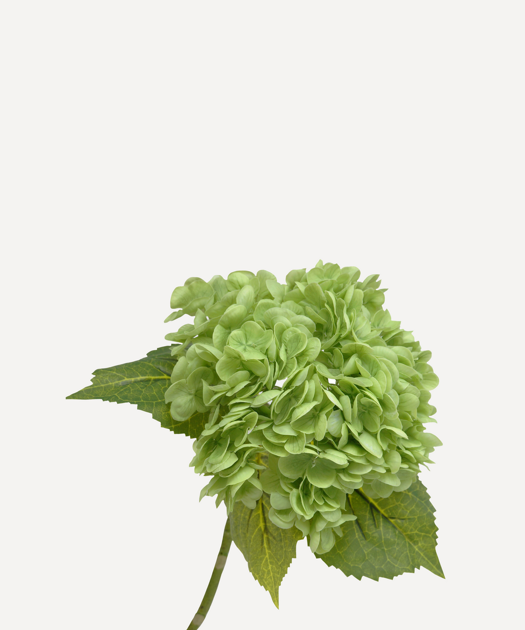 Hydrangeas - Faux Flower Stems - White, Light Green, Lavender, Blue, Green