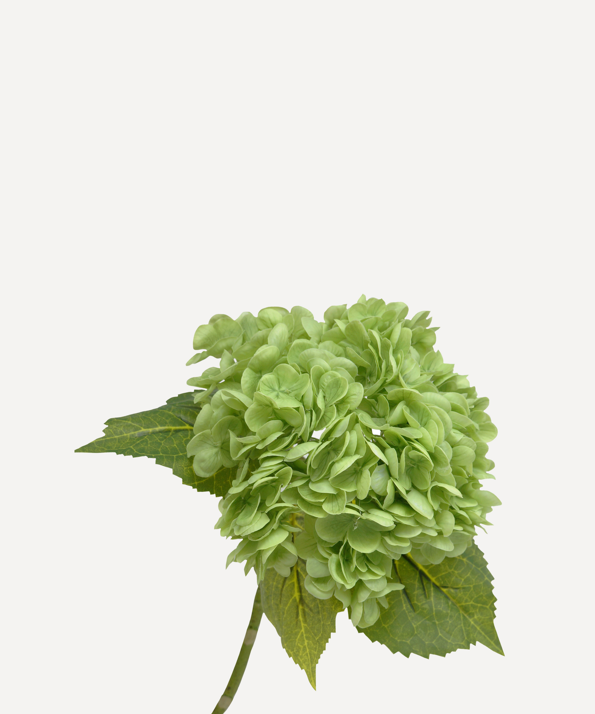 Hydrangeas - Faux Flower Stems - White, Light Green, Lavender, Blue, Green