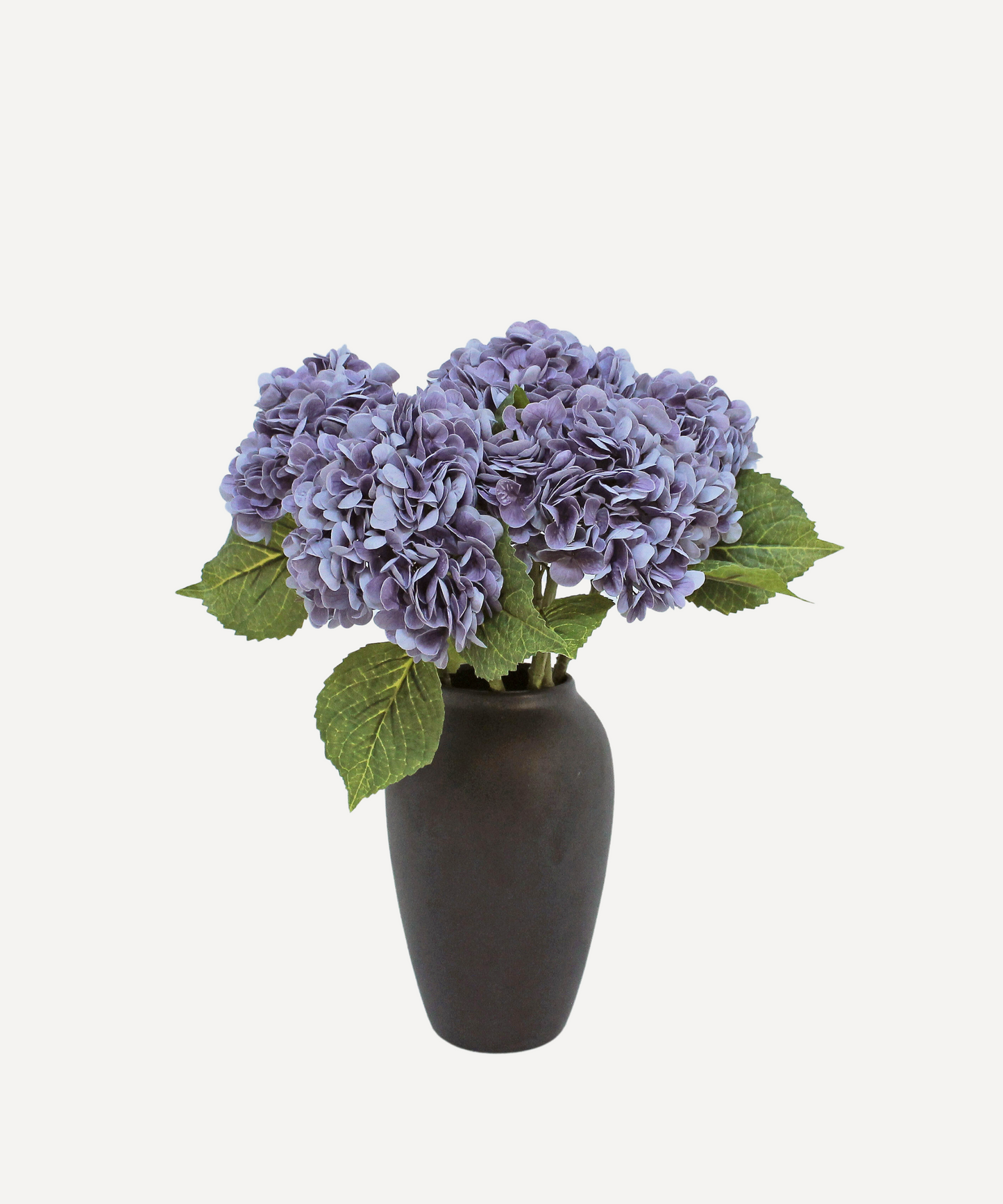 Hydrangea - White, Light Green, Lavender, Blue, Green