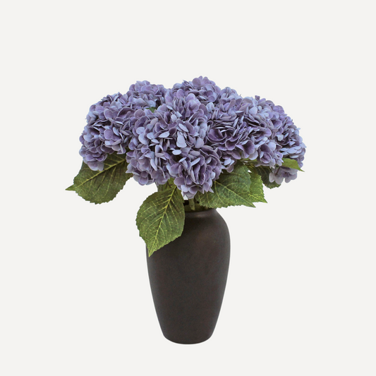 Hydrangea - White, Light Green, Lavender, Blue, Green