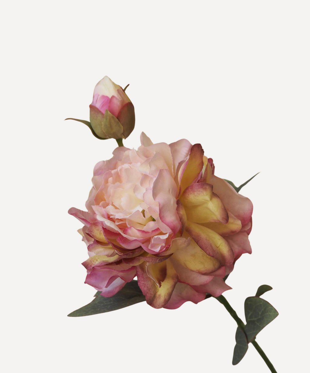 Peony - Faux Flower Stems
