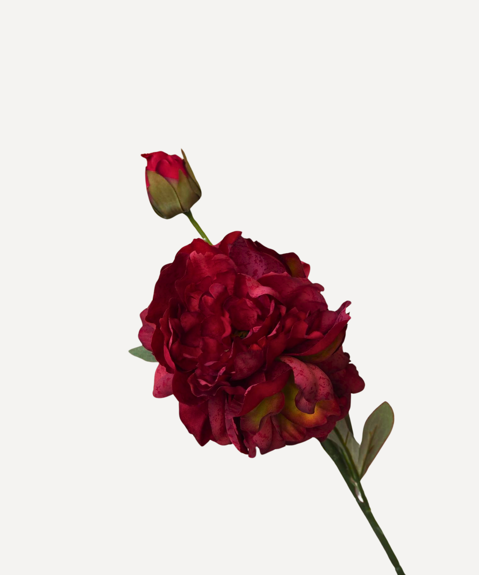 Peony - Faux Flower Stems