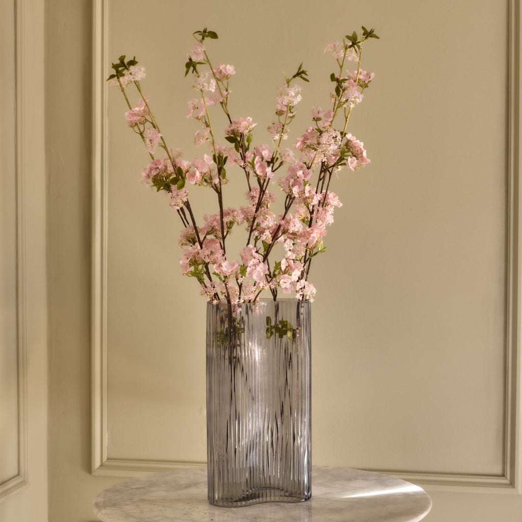 Fontanesia - Pink & White