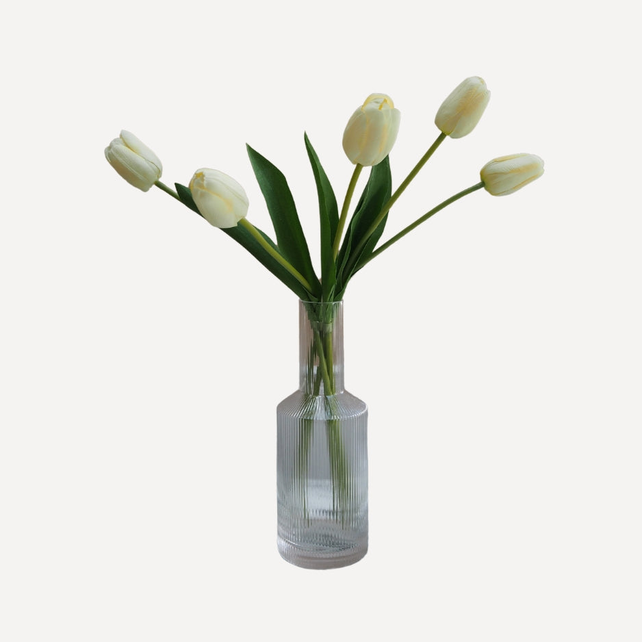 Tulips - Buttermilk